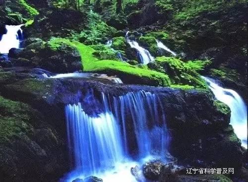 鱼香肉丝为什么叫鱼香肉丝-专业的有问必答平台